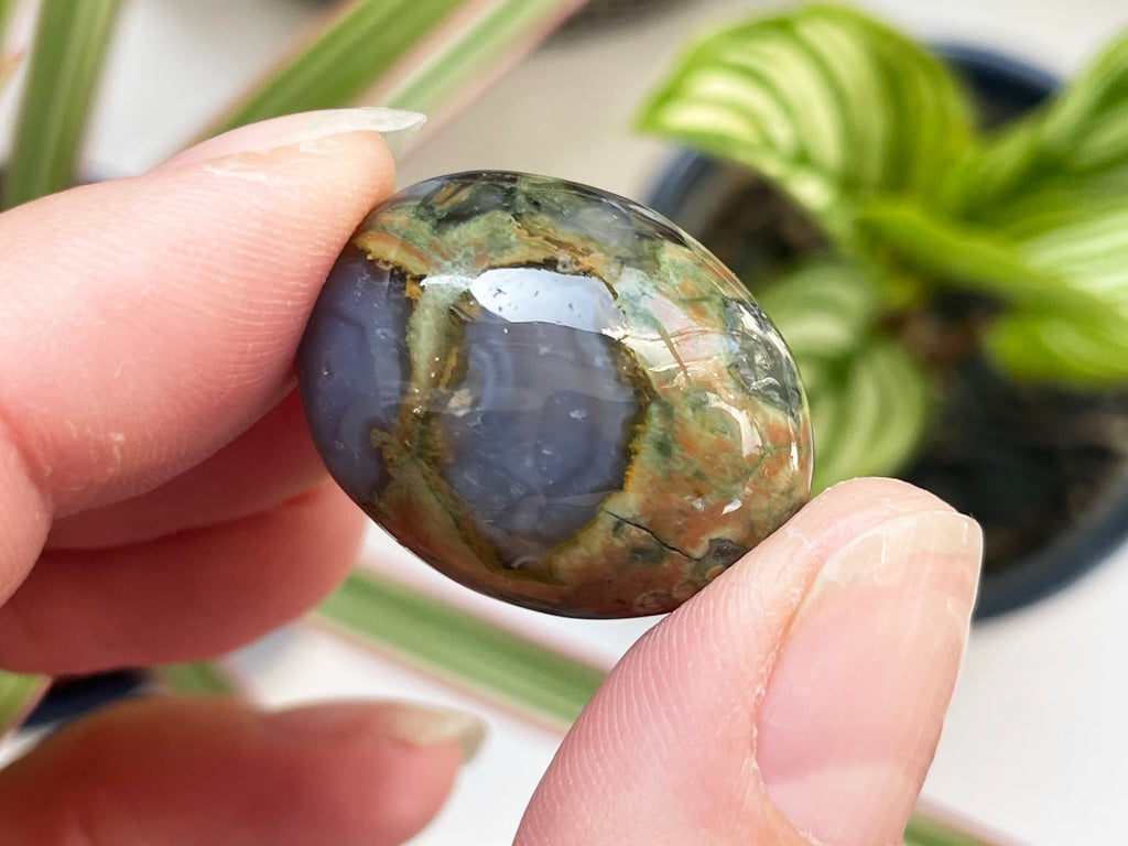 Rainforest Jasper Tumblestone