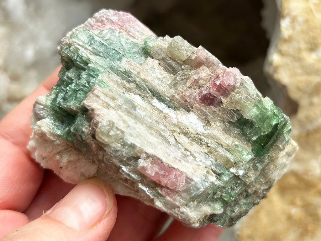 Watermelon Tourmaline in Matrix